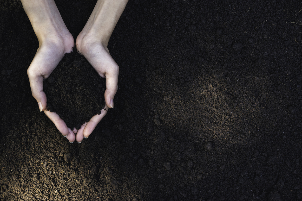 Qualterra Closeup hand of person holding abundance soil for agriculture or planting peach.