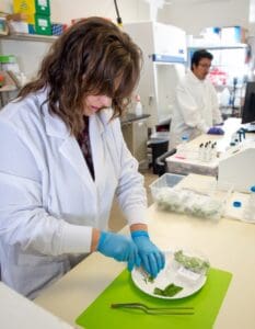 Qualterra Molecular Plant Services 4