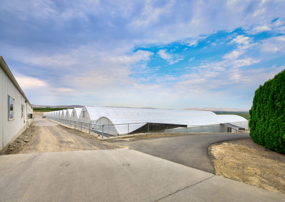 Qualterra Greenhouses